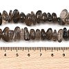 Natural Smoky Quartz Beads Strands G-P622-A01-02-5