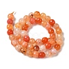 Dyed & Heated Natural Dragon Veins Agate Beads Strands G-P539-A01-15-3