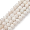 Natural Grey Moonstone Beads Strands G-I279-C01-10mm-A-2