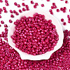 Baking Paint Pearlized Glass Seed Beads SEED-T008-03O-2