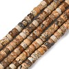 Natural Picture Jasper Heishi Beads Strands G-A299-A05-01-3