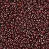 Glass Seed Beads SEED-A010-2mm-56-3