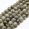 Natural Labradorite Beads Strands X-G-D840-10-8mm-1
