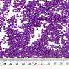 Baking Paint Glass Seed Beads SEED-US0003-2mm-K13-3