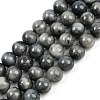 Natural Hawk's Eye Beads Strands G-S333-10mm-027-2