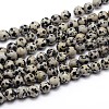 Natural Dalmatian Jasper Round Bead Strands G-J303-19-6mm-1