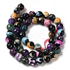 Dyed & Heated Natural Fire Crackle Agate Beads Strands G-P539-B01-05-3