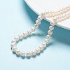 Natural Cultured Freshwater Pearl Beads Strands PEAR-R063-16-2