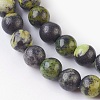 Natural Serpentine Beads Strands G-G767-05-6mm-3