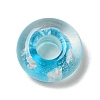 Glass European Beads GLAA-XCP0001-40A-2