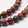 Natural Polychrome Jasper/Picasso Stone/Picasso Jasper Bead Strands G-D840-85-8mm-3