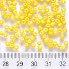 8/0 Baking Paint Glass Round Seed Beads SEED-S036-01B-05-3