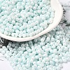 Opaque Colours Luster Glass Seed Beads SEED-B001-01A-02-1