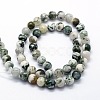 Natural Tree Agate Beads Strands X-G-I199-03-8mm-2