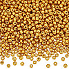 100G 6/0 Glass Seed Beads SEED-SP0001-12B-01-1