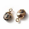Electroplate Natural Dalmatian Jasper Charms G-S344-09C-3