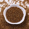 MIYUKI Delica Beads SEED-JP0008-DB0144-1