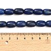 Natural Lapis Lazuli Beads Strands G-H319-A01-01-5