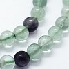 Natural Fluorite Beads Strands G-I199-12-6mm-3