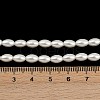 Electroplated Shell Pearl Beads Strands BSHE-H113-06C-06-4
