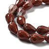 Natural Red Jasper Beads Strands G-P520-B04-01-4