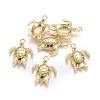 Alloy Pendants LS-X-TIBEP-A040-032G-NR-1
