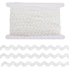 3 Rolls Polyester Glitter Wavy Fringe Trim Ribbon OCOR-GF0004-45B-6