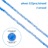 1 Strand Natural Dyed & Heated Blue Aventurine Beads Strands G-DC0001-05-2