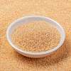 MIYUKI Round Rocailles Beads SEED-JP0010-RR0282-2