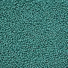 11/0 Grade A Baking Paint Glass Seed Beads X-SEED-N001-A-1015-2