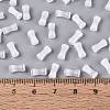 FGB Grade A Drawbench Style Glass Seed Beads SEED-Q040-01A-10-4