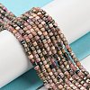 Natural Rhodonite Beads Strands G-Q1005-F-01-4