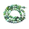 Natural Variscite Beads Strands G-F715-109A-2