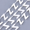 Natural Freshwater Shell Beads SHEL-T012-59-2