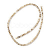 Natural Freshwater Shell Beads Strands SHEL-K006-71C-2