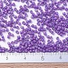 MIYUKI Delica Beads X-SEED-J020-DB0660-4