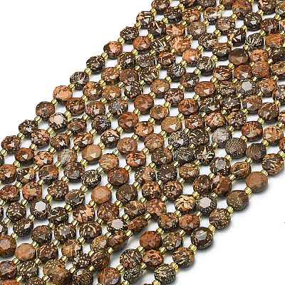 Natural Starburst Jasper Beads Strands G-C116-A40-02-1