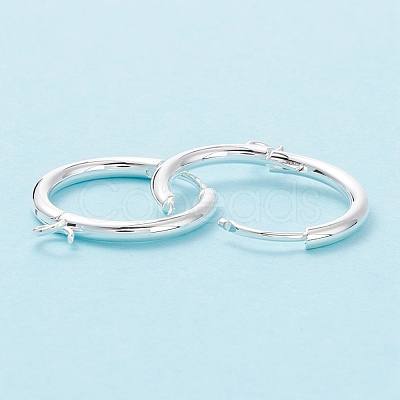 201 Stainless Steel Huggie Hoop Earring Findings STAS-P283-01S-S-1