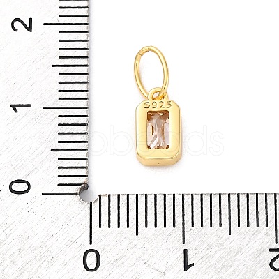 925 Sterling Silver Cubic Zirconia Charms STER-NH0014-01G-11-1