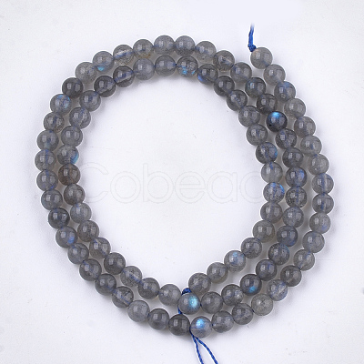 Natural Labradorite Beads Strands X-G-S333-6mm-035-1