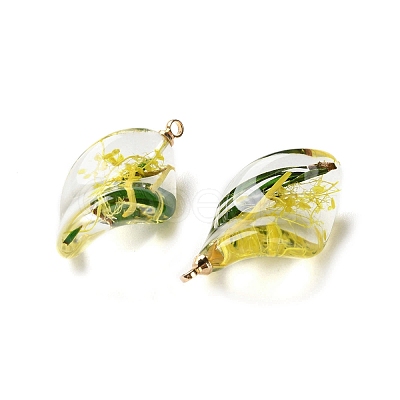 Inner Dried Flower Transparent Resin Pendants LS-RESI-A043-02C-1