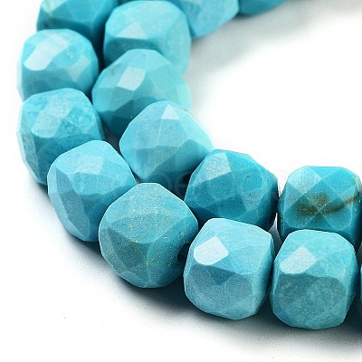 Dyed Natural Turquoise Beads Strands G-H028-A04-01-1