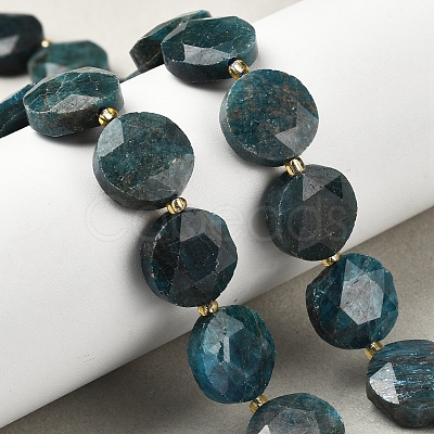 Natural Apatite Beads Strands G-C116-A159-03-1