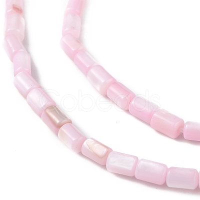 Natural Freshwater Shell Dyed Beads Strands X-SHEL-M018-12-09-1