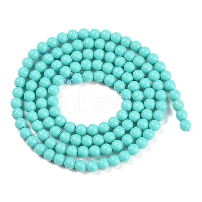 Synthetic Turquoise Beads Strands G-U004-02N-1