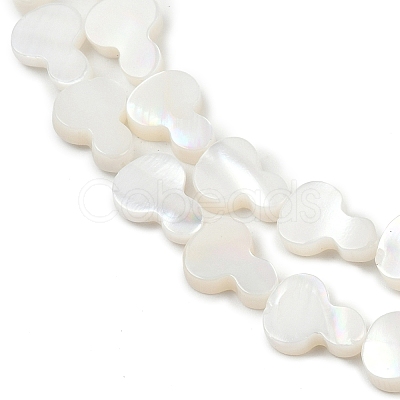 Natural Freshwater Shell Beads Strands SHEL-K010-02A-1