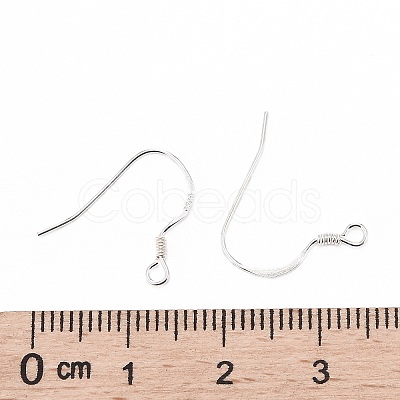 925 Sterling Silver Earring Hooks STER-K167-049B-S-1