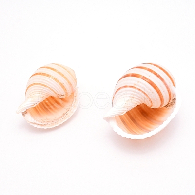 Natural Shell DJEW-WH0010-70-1