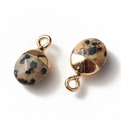 Electroplate Natural Dalmatian Jasper Charms G-S344-09C-1