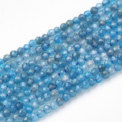 Natural Apatite Beads Strands X-G-T064-17-2mm-1